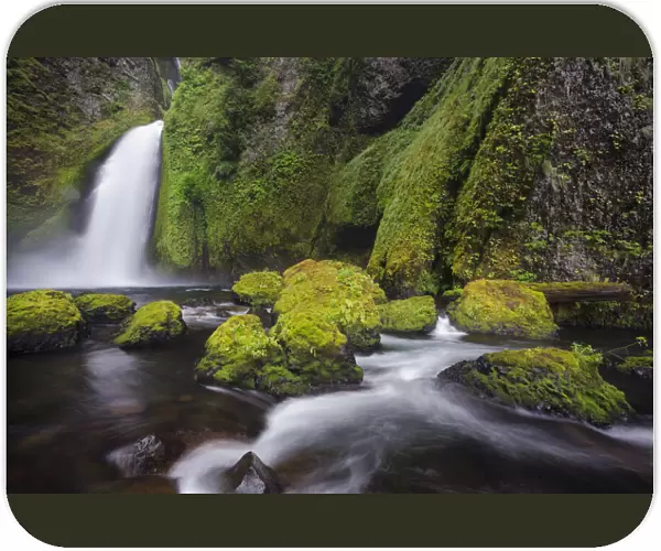 Wahclella Falls along Tanner Creek, Columbia River Gorge, Oregon