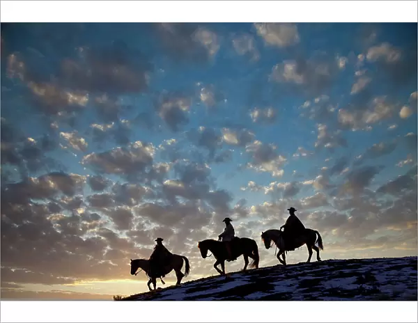 USA, Shell, Wyoming. Hideout Ranch cowboys and cowgirls silhouetted against sunset riding on ridgeline. (PR, MR)