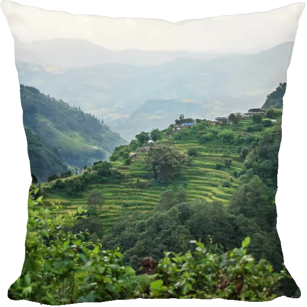 Nepal, viewpoint from Mardi Himal Trek. Lush terraced rice fields