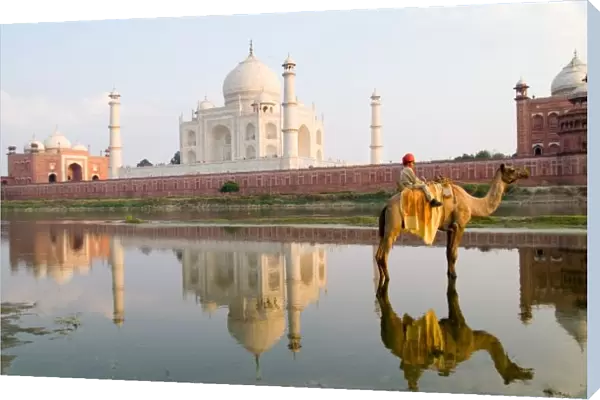 World famous Taj Mahal temple burial site at sunset with young boy on camel