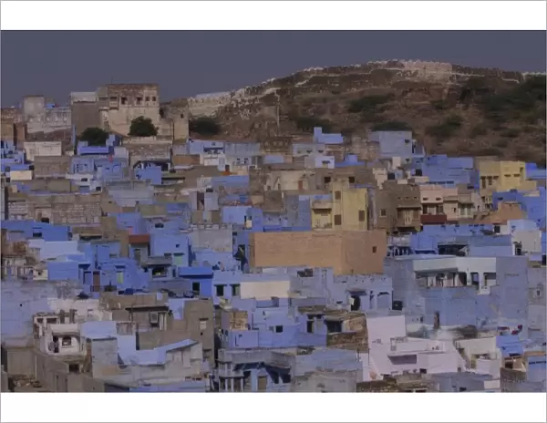 Blue City Jodhpur. Rajasthan, INDIA