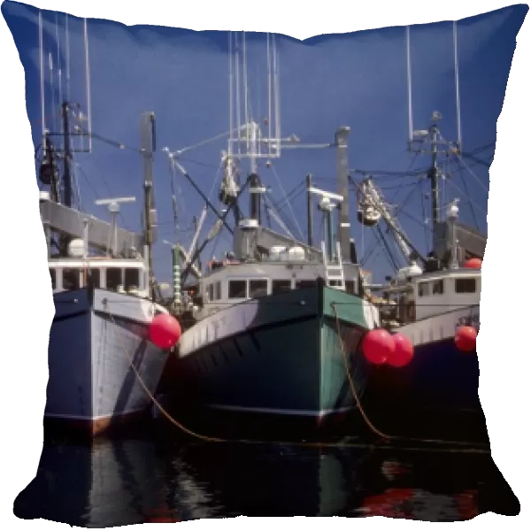 Canada: New Brunswick, Grand Manan, North Head Harbor, commercial fishing boats, July