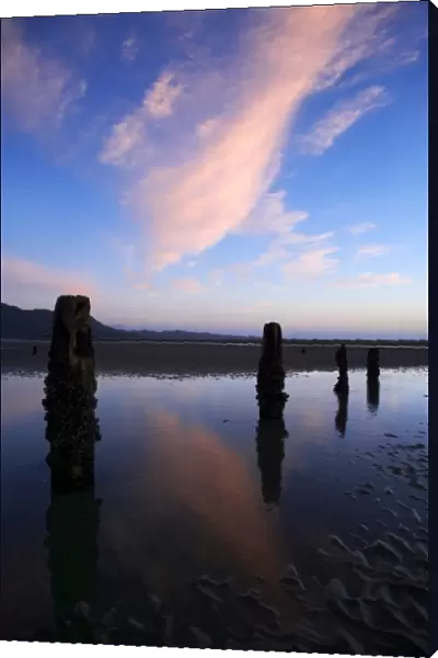 Old Jetty Piles at Sunrise, Collingwood, Golden Bay, Nelson Region, South Island