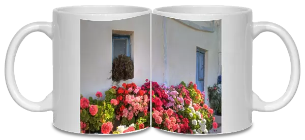 Greece, Mykonos, Geraniums planted in courtyard in central island location