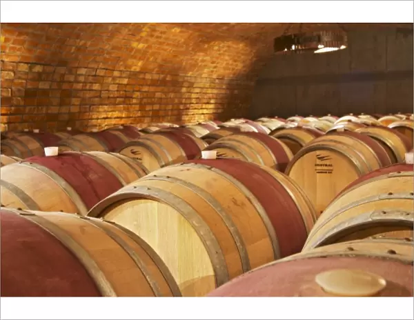 The barrel aging cellar. Bodega Familia Schroeder Winery, also called Saurus, Neuquen