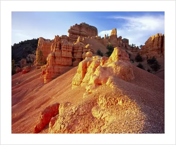 Utah. USA. Eroded limestone pinnacles & slopes at sunset. Red Canyon. Dixie National Forest