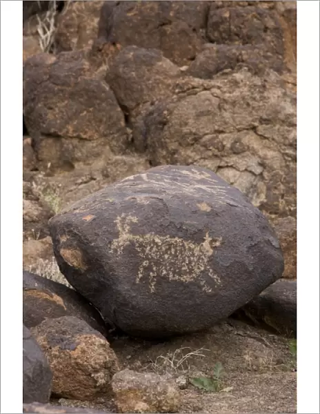 North America, USA, Arizona, Painted Rock Petroglyph Site. Petroglyphs pecked into boulders
