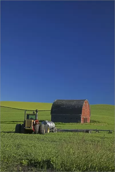 USA, Washington, Old Red Barn in the Spring Green Wheat Field