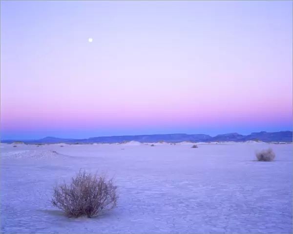 Nevada. USA. Moon over alkali playa at dawn. Railroad Valley. Great Basin