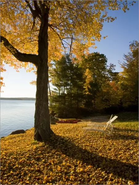 The lawn at Oliver Lodge on Lake Winnipesauke in Meredith, New Hampshire