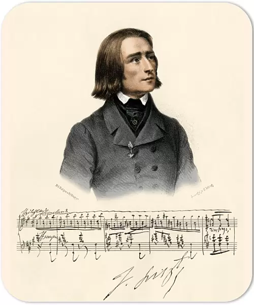 Young Franz Liszt