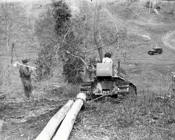 Forestry Work at Lavington - February 1944