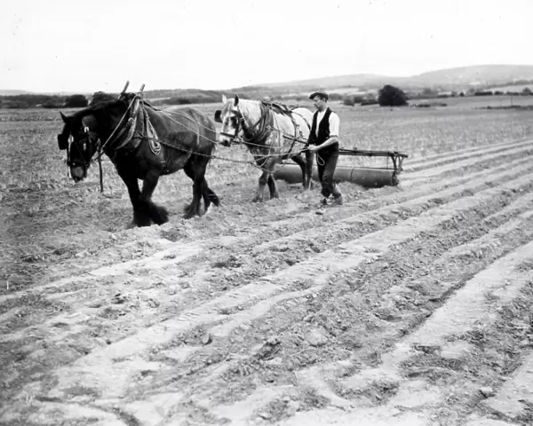 Soanes Farm Petworth - 5 June 1945