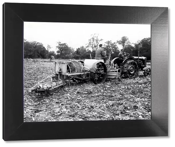 John Deere Tractor & Beet Harvester at Warnford - October 1946