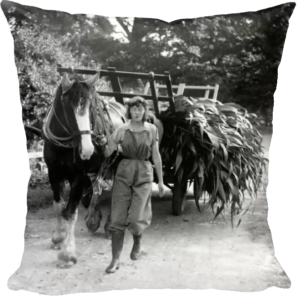 Land Girl at Cowdray, September 1939