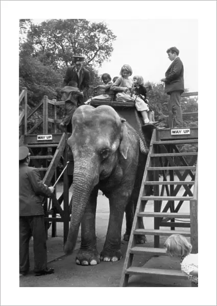 Waiting for an elephant ride