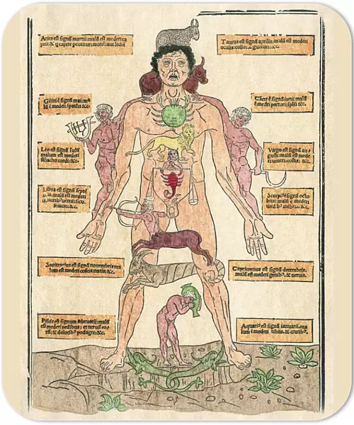 The Zodiac Man, the oldest printed bloodletting chart, showing the astrological signs for bloodletting, or the correspondences between the parts of the body and the Zodiacal regions. Woodcut from Johannes de Kethams Fasciculus Medicinae, 1493