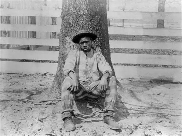 GEORGIA: CHAIN GANG. African American man sitting against a tree with legs chained