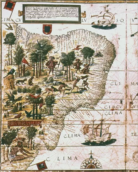 PORTUGUESE MAP OF BRAZIL. Between the Amazon River and the Rio de la Plata, 1519