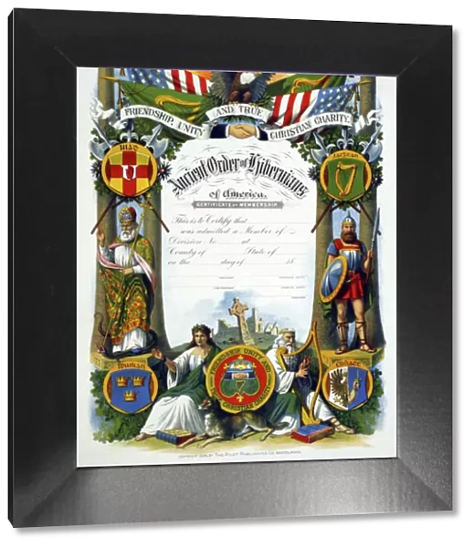 ORDER OF HIBERNIANS. Certificate of membership to the Ancient Order of Hibernians of America