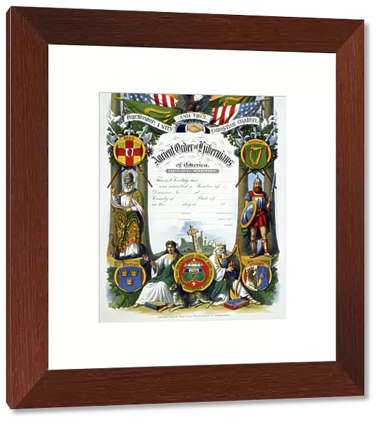 ORDER OF HIBERNIANS. Certificate of membership to the Ancient Order of Hibernians of America
