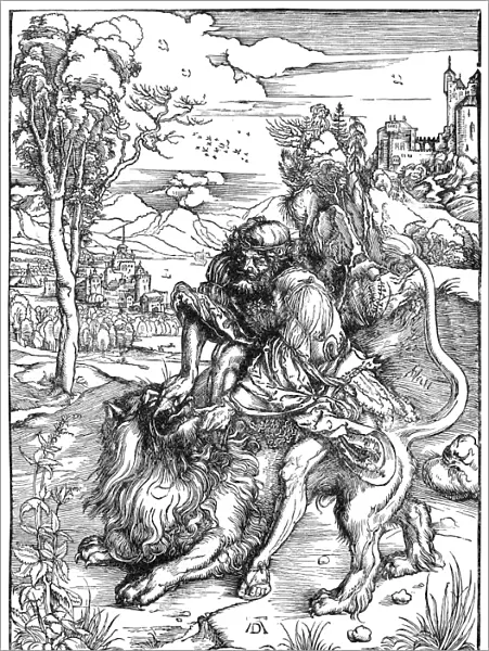 SAMSON & THE LION. Woodcut by Albrecht Durer (1471-1528)