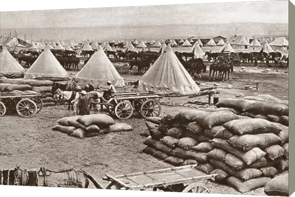 WORLD WAR I: EGYPT. Supply depot for Australian troops during World War I, at Maadi