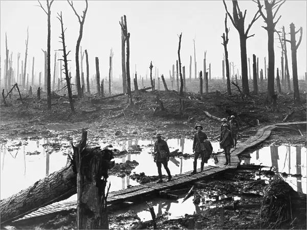 Australian troops at remains of Chateau Wood, Passchendaele, 1917