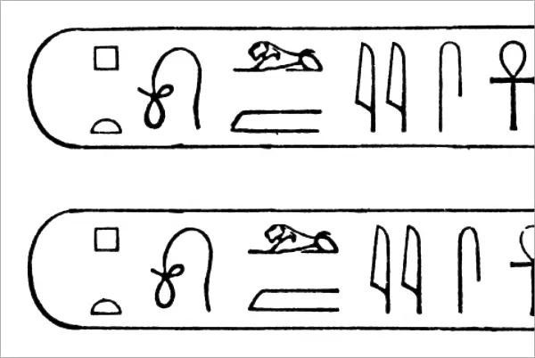 EGYPT: PTOLEMYs NAME. Cartouche containing the name of Ptolemy written in hieroglyphic