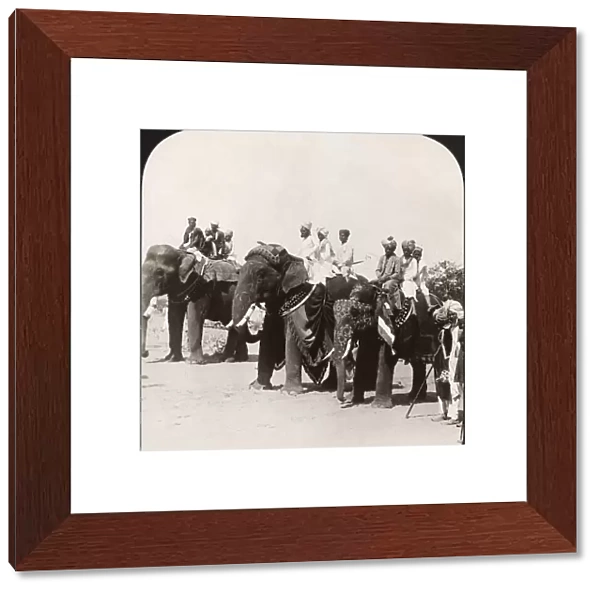 INDIA: JAIPUR, c1907. State elephants of the Maharaja on parade, Jaipur, India