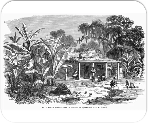 ACADIAN HOMESTEAD, 1867. An Acadian homestead in Louisiana. Engraving after a sketch by A