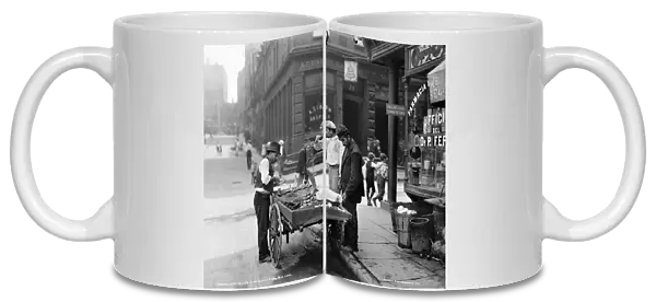 NEW YORK: MULBERRY BEND. A clam seller on Mulberry Bend in New York City. Photograph