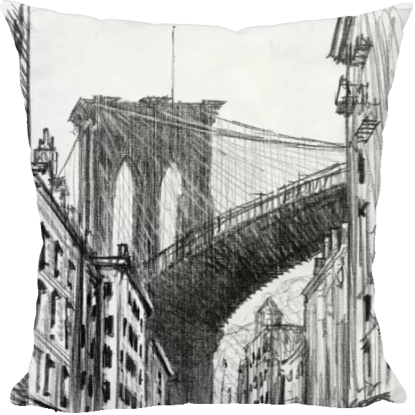BROOKLYN: TENEMENTS, c1909. Tenement buildings under the Brooklyn Bridge in Brooklyn, New York