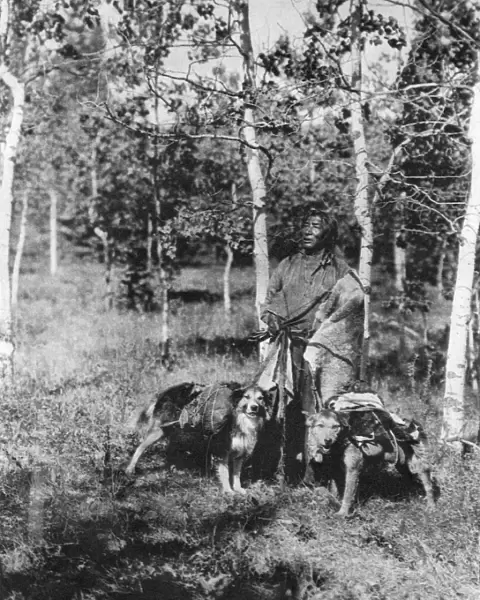 ASSINIBOIN HUNTER, 1926. A hunter of the Assiniboin people with pack-laden dogs