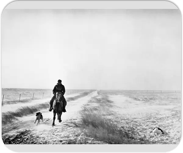 SOUTH DAKOTA: COWBOY. Riding the ranch in winter, Lyman County, South Dakota