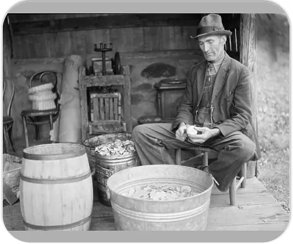 VIRGINIA: PEELING APPLES. John Nicholson peeling apples, at a house in Shenandoah National Park