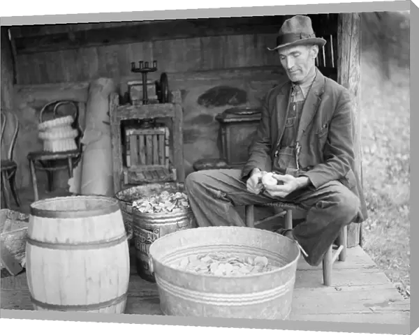 VIRGINIA: PEELING APPLES. John Nicholson peeling apples, at a house in Shenandoah National Park
