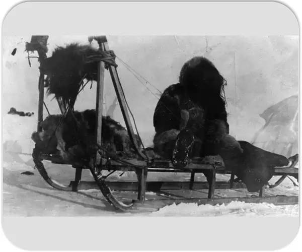 NORTH POLE: SEWING, c1909. A member of Frederick Cooks journey expedition to Greenland