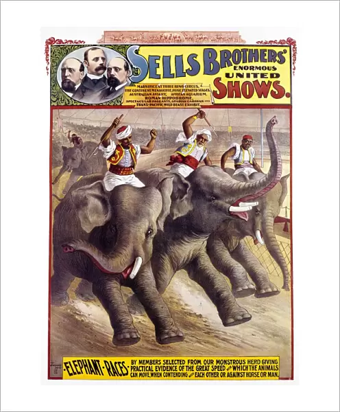 CIRCUS POSTER, c1890. American circus poster, c1890, for Sells Brothers Circus, featuring elephant races