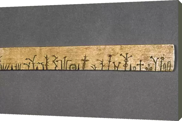 POTAWATOMI MEDICINE STICK. Stick containing many recipes for medicinal cures, used by the Potawatomi tribe in Michigan