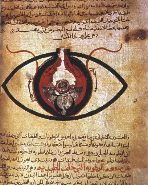 ARAB EYE TREATISE. Page from a 13th century Arabic manuscript of Hunayns Treatise on the Eye