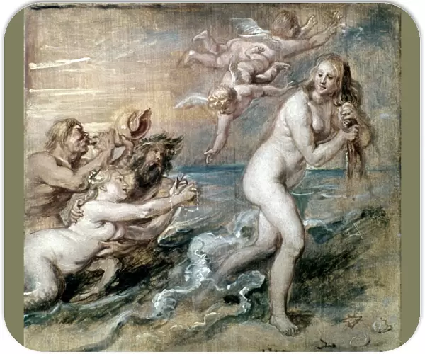 RUBENS: VENUS. The Birth of Venus by Peter Paul Rubens. Oil sketch on wood, c1637