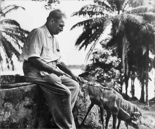 ALBERT SCHWEITZER (1875-1965). French theologian, physician, and musicologist in Africa (present-day Gabon)