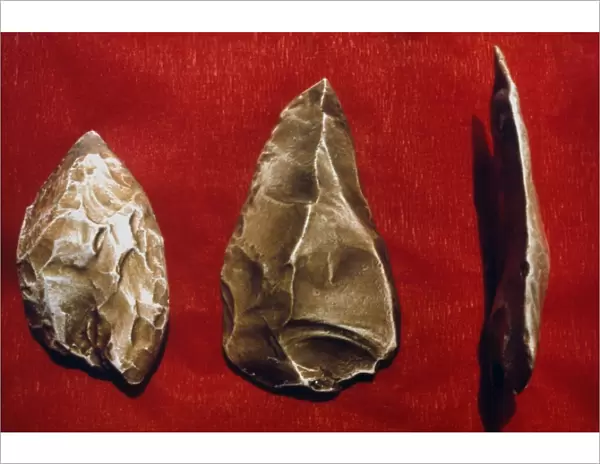 PALEOLITHIC TOOLS. Paleolithic scraper (left) and arrow heads, c40, 000 B. C
