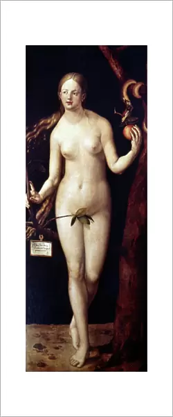 D├£RER: EVE, 1507. Oil on wood by Albrecht D├╝rer, 1507