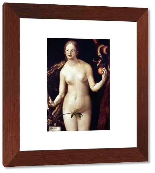 D├£RER: EVE, 1507. Oil on wood by Albrecht D├╝rer, 1507