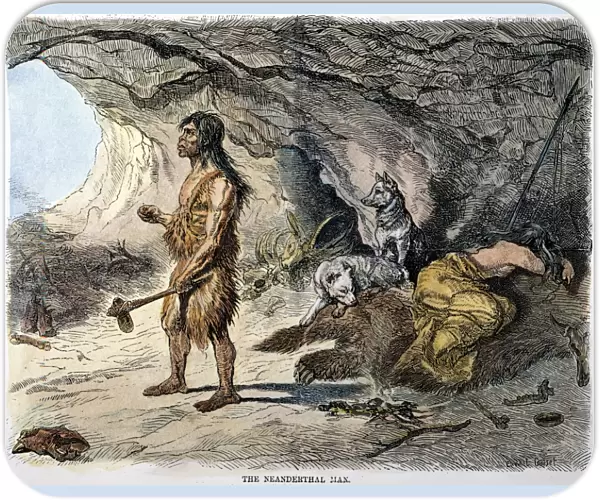 NEANDERTHAL MAN. A late 19th century depiction of Neanderthal man (Homo neanderthalensis) based on the 1857 discovery of human skeletal remains in the Neander Valley, Prussia: engraving, 1873