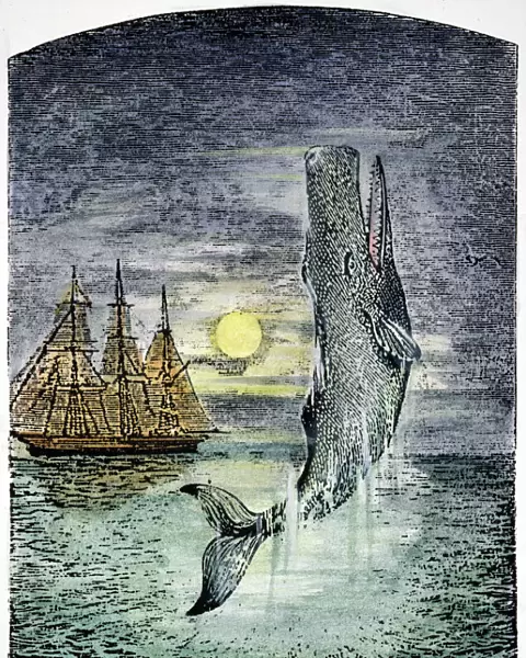 PEHE NU-E: MOBY DICK. The only known picture of Moby Dick drawn during Herman Melvilles lifetime: wood engraving, late 19th century