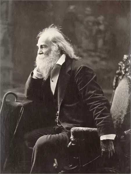 WALT WHITMAN (1819-1892). American poet. Photographed in 1881