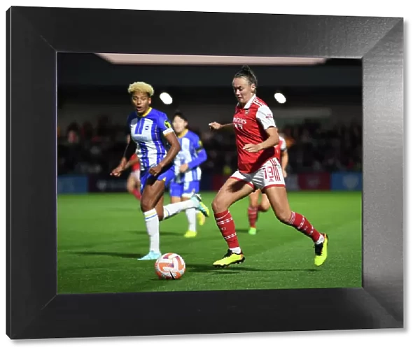 Arsenal WFC vs Brighton & Hove Albion WFC: Clash in the Barclays Women's Super League at Meadow Park